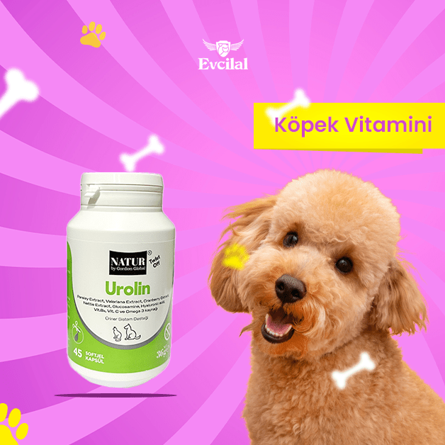 köpek vitamini