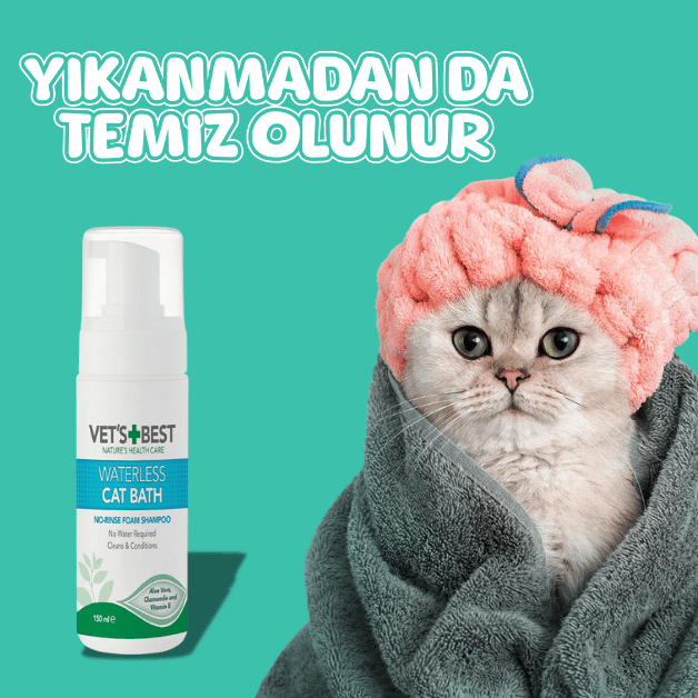 kedi şampuanı