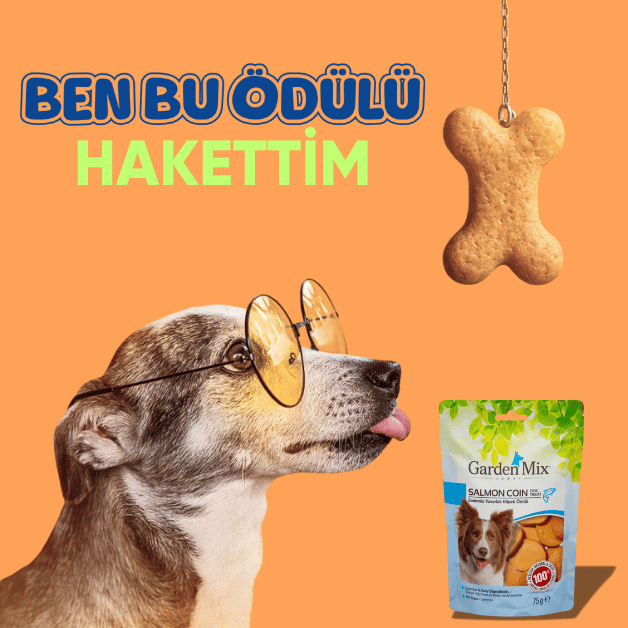 köpek ödül maması