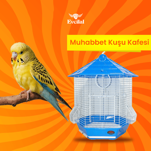 muhabbet kuşu kafesi