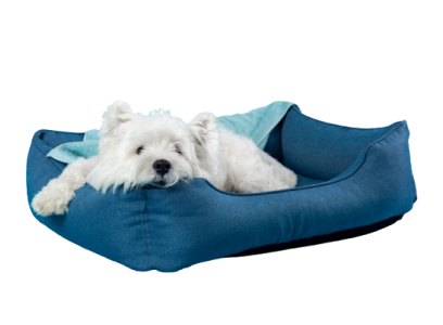 Evcilal Online Pet Market