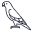 Kuş