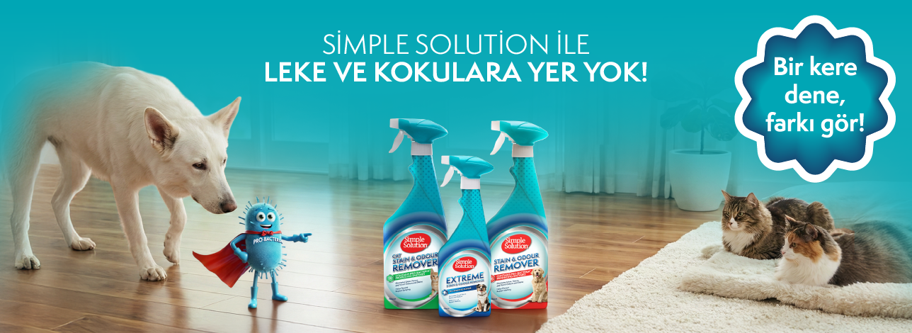 akvaryum hava motoru, ısıtıcı modelleri