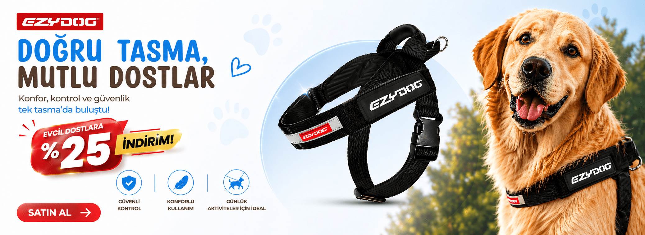 ezydog köpek tasması