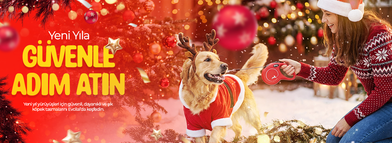 köpek tasması modelleri