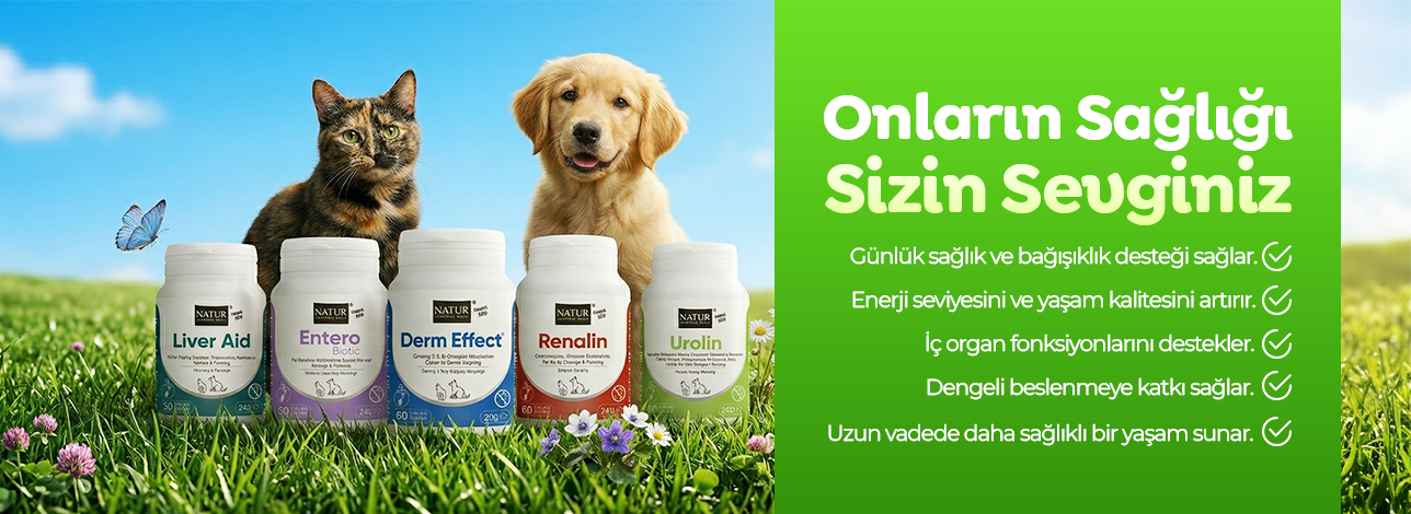 natur kedi köpek vitaminleri