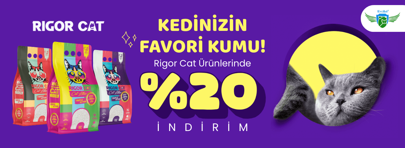 rigor cat kedi kumları