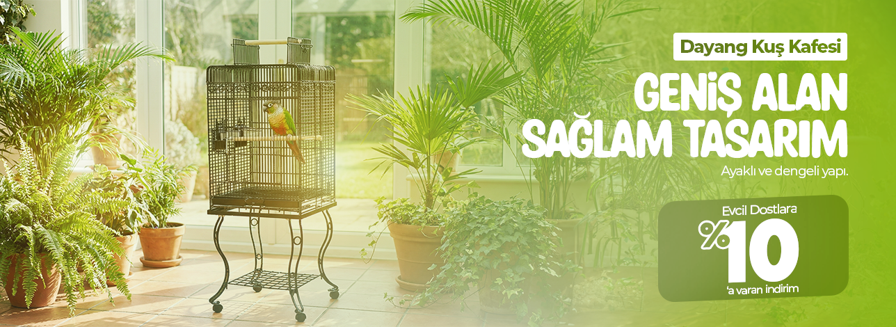 dayang kuş kafesi