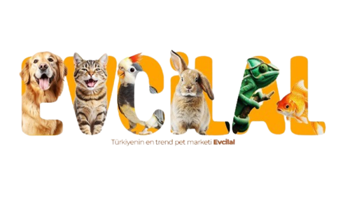 en yakın pet shop